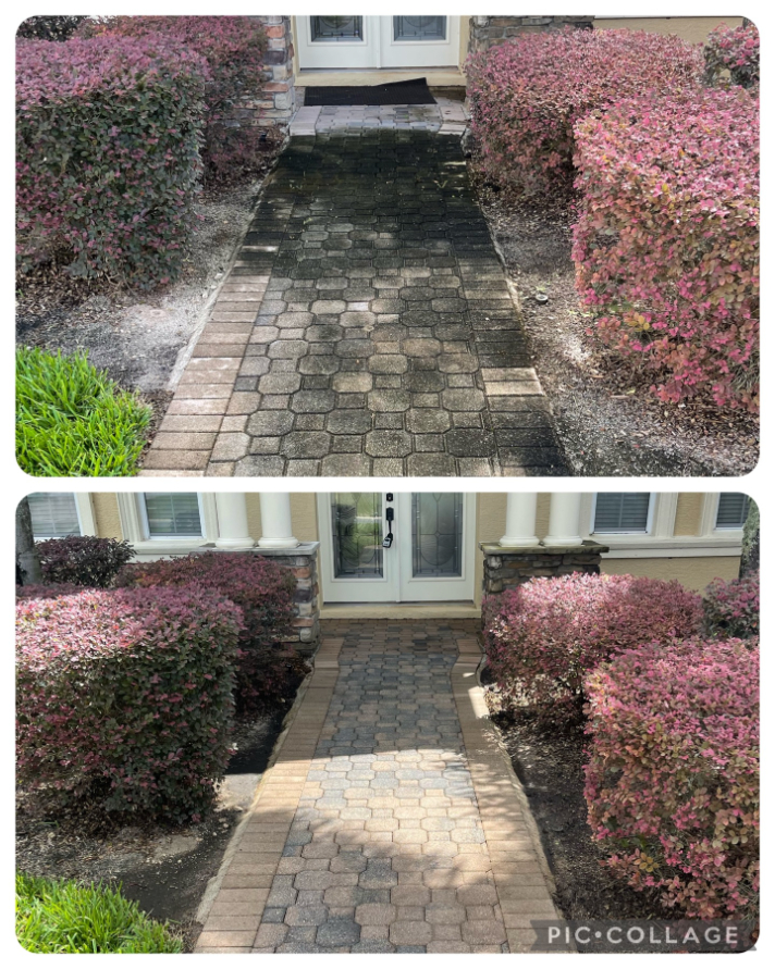 Paver cleaning